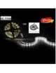 Tira 12v de 300 LED 72W Ip25 6000ºK SMD5050 x5 Metros, Blanco Frío con Envío Gratis.